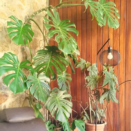 アパート Quinta Da Regada