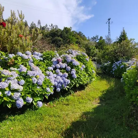 Quinta Da Regada * Arcos (Vila do Conde)