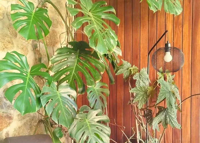 Διαμέρισμα Quinta Da Regada