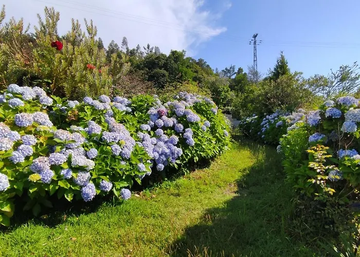 Quinta Da Regada * Arcos (Vila do Conde)